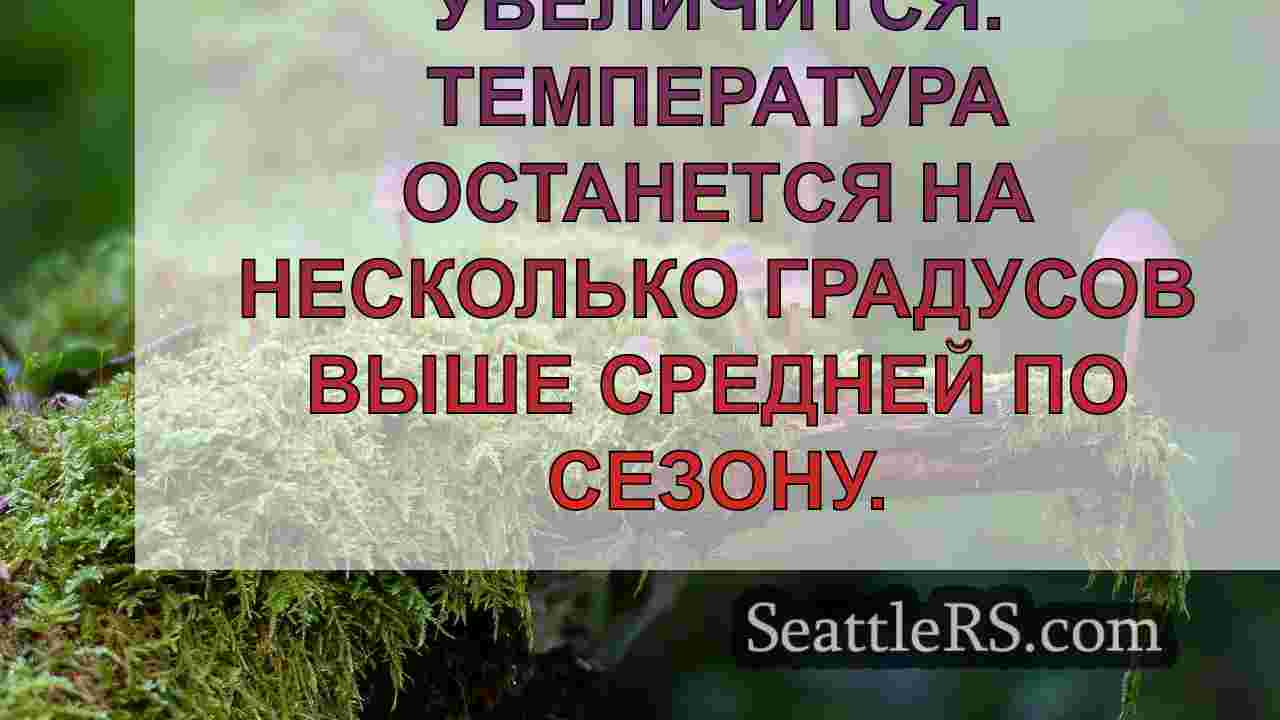 Новости Сиэтла SeattleRS