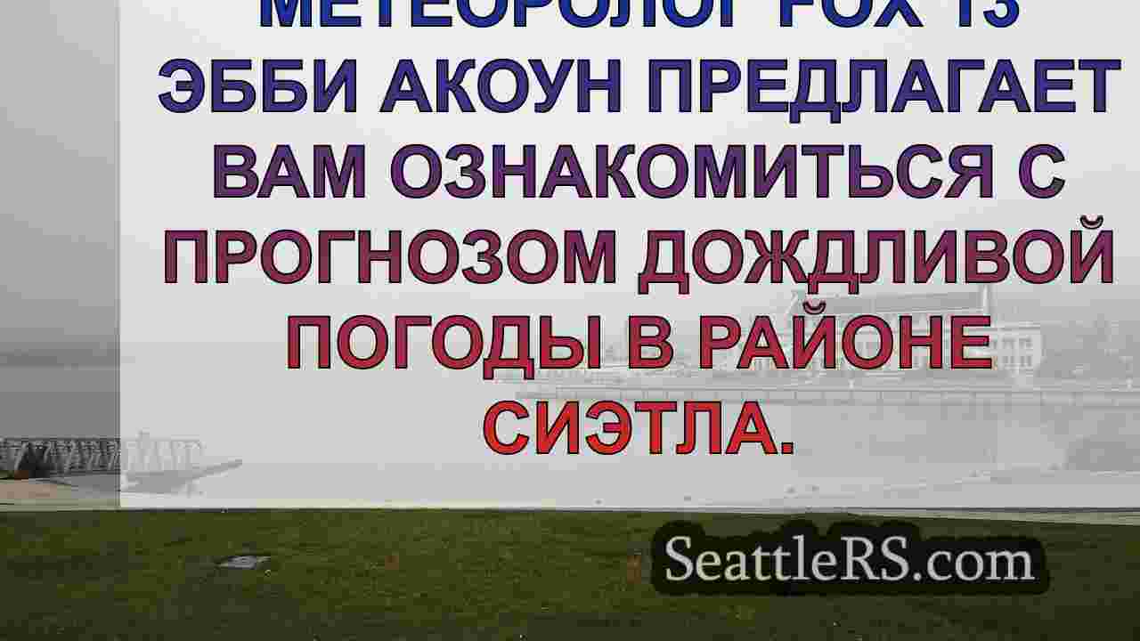 Темная, дождливая и пасмурная погода