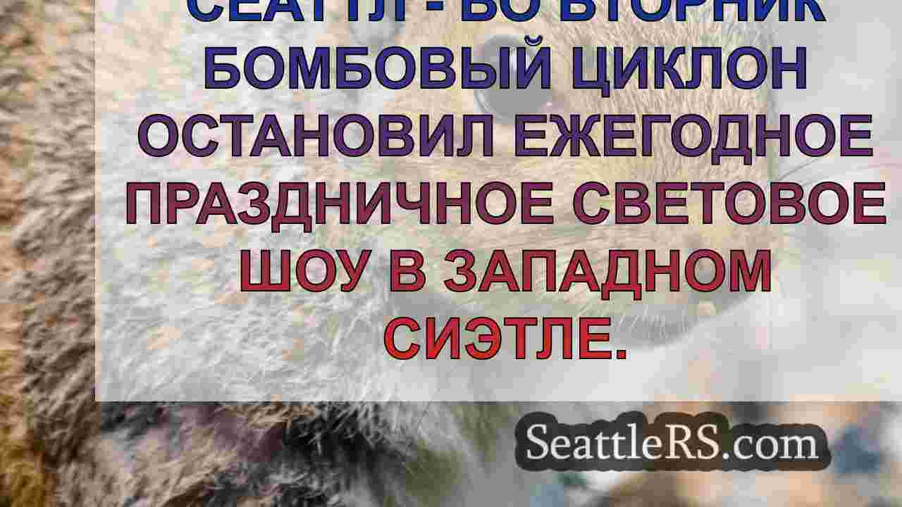 Новости Сиэтла SeattleRS
