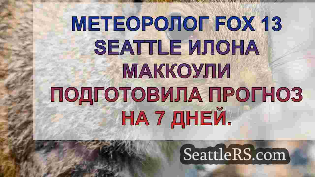 Новости Сиэтла SeattleRS