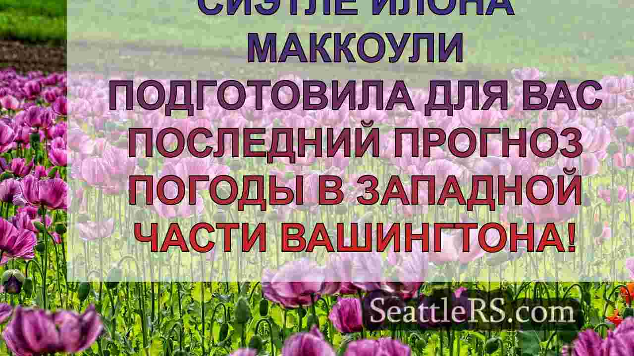 Погода в Сиэтле: Дождь и горный снег