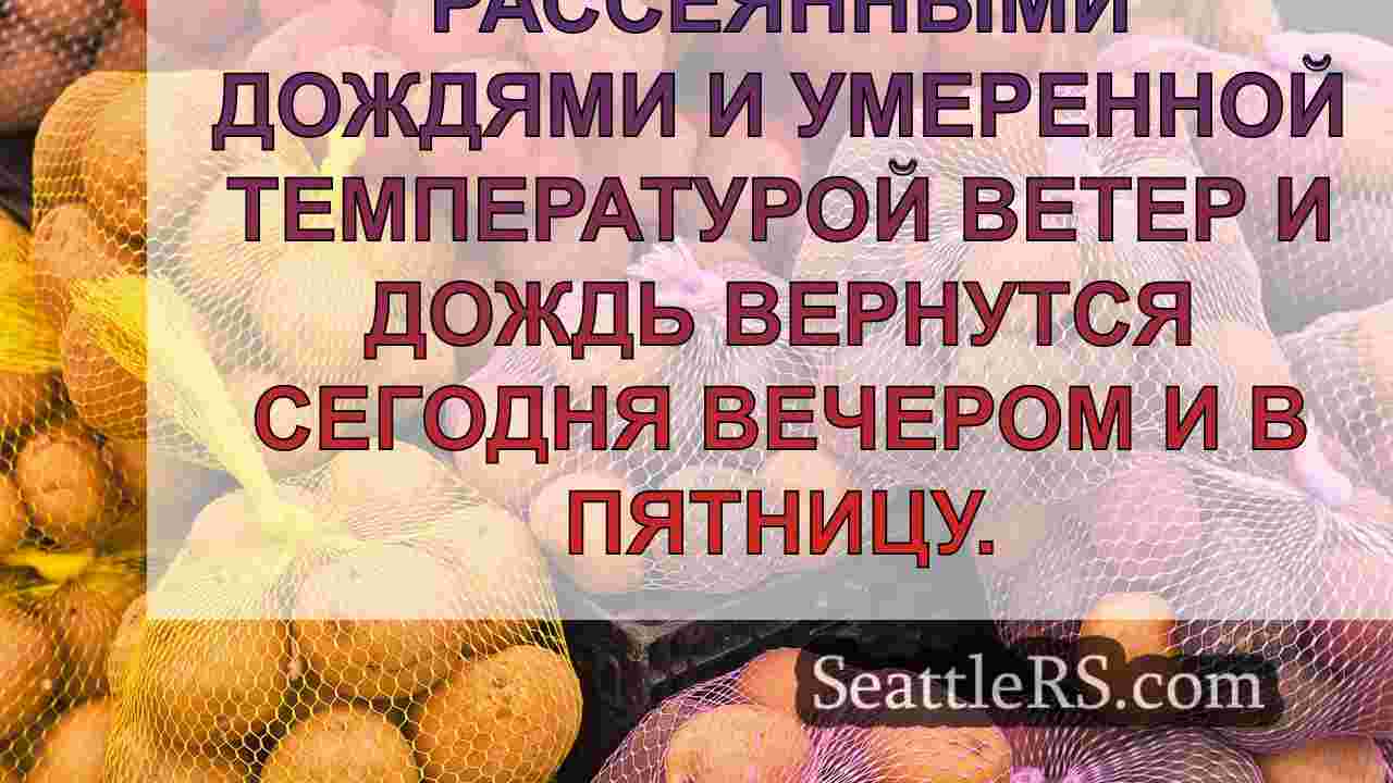 Порывистая погода сохранится в пятницу