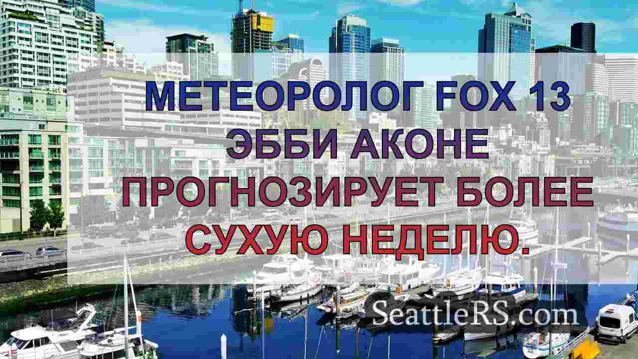 Ненастная, темная и прохладная погода в