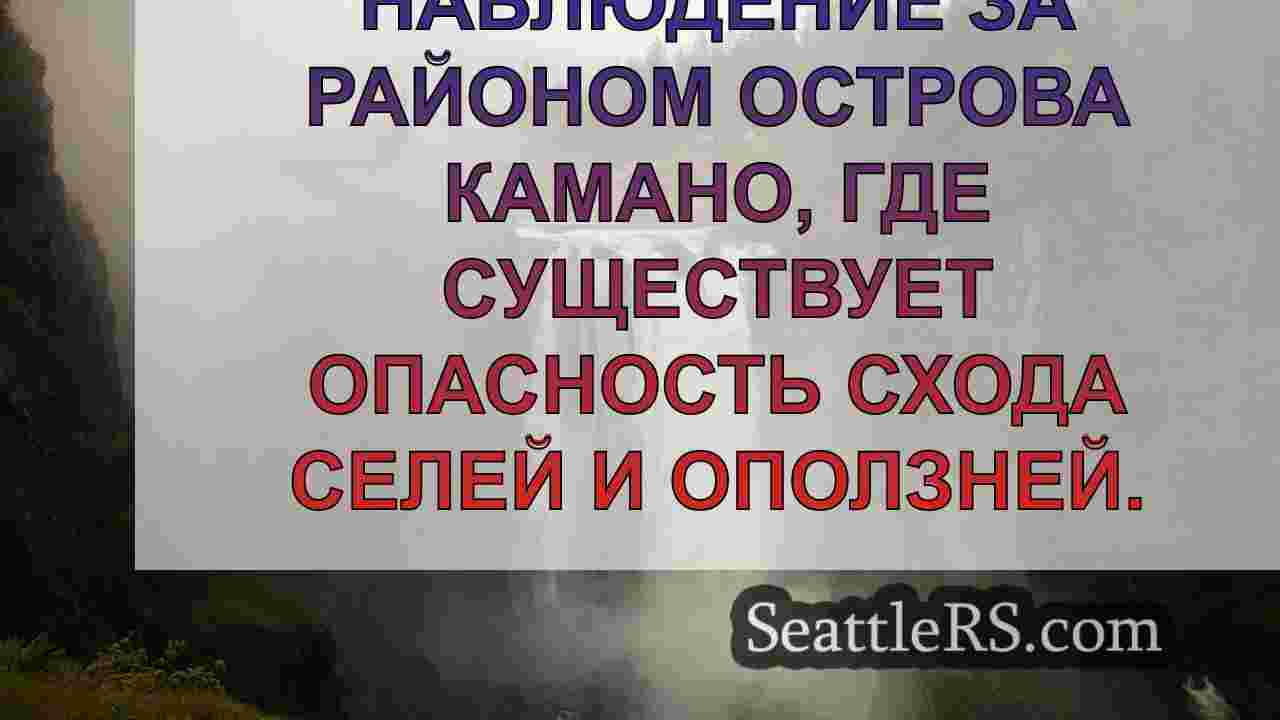 Деревья упали, перекрыв дорогу на