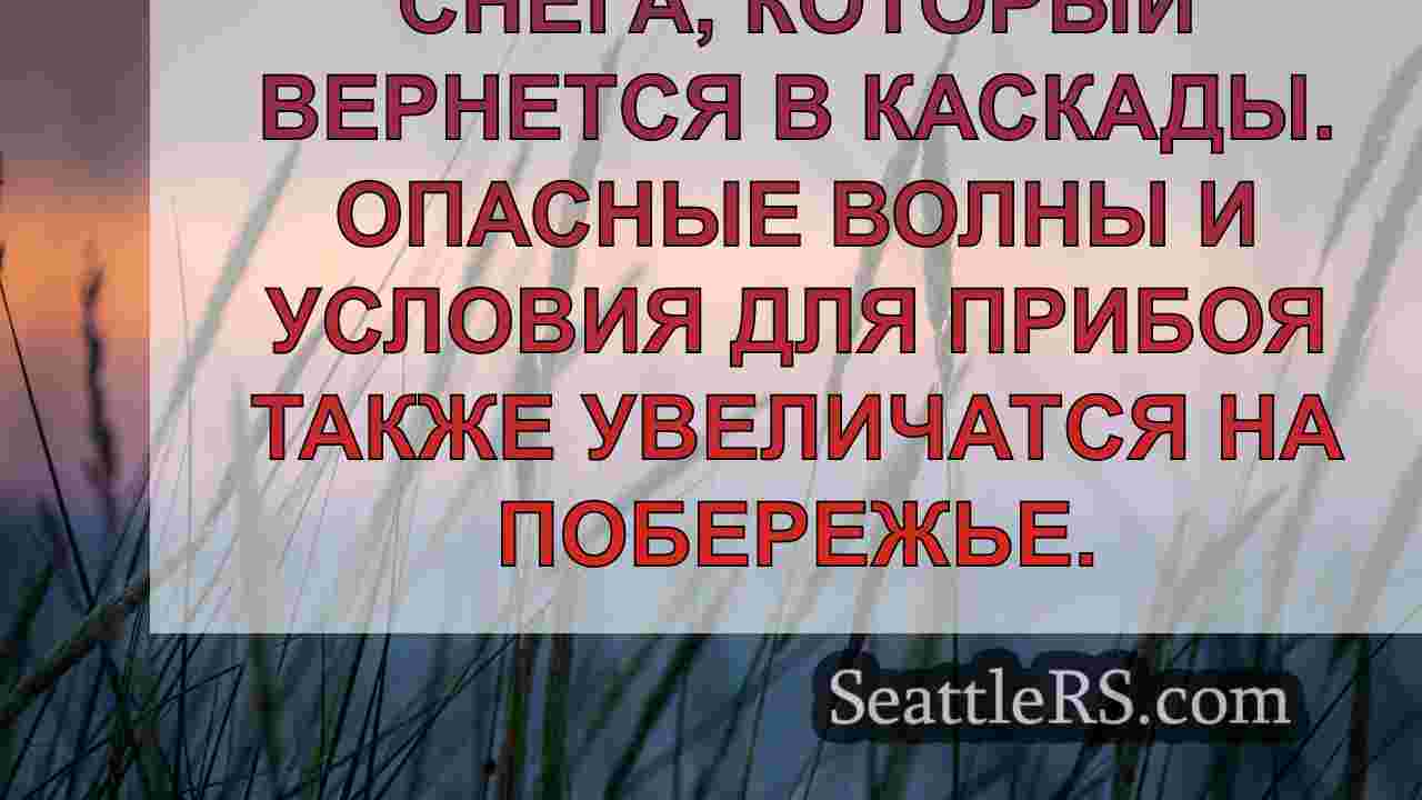 Погода в Сиэтле: Влажное и ветреное