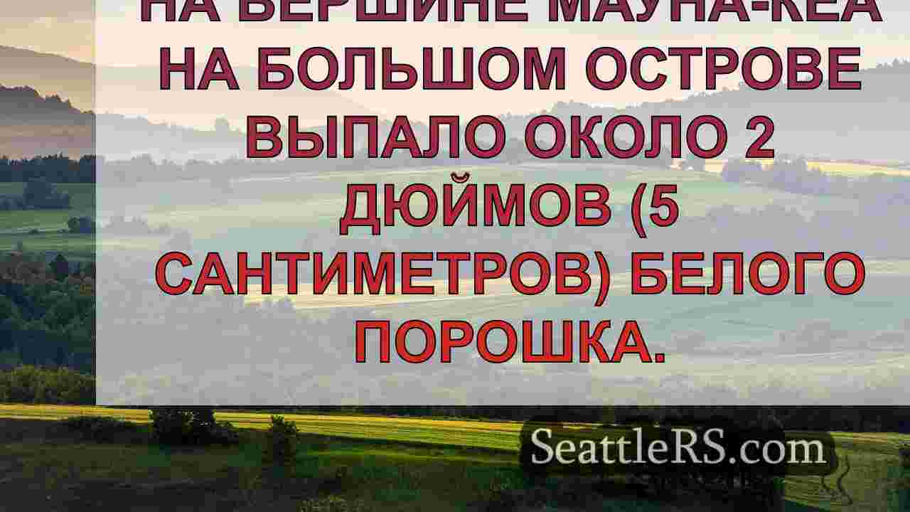 Новости Сиэтла SeattleRS