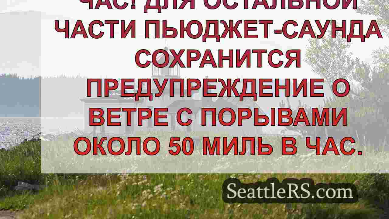 Порывы ураганного ветра зафиксированы в