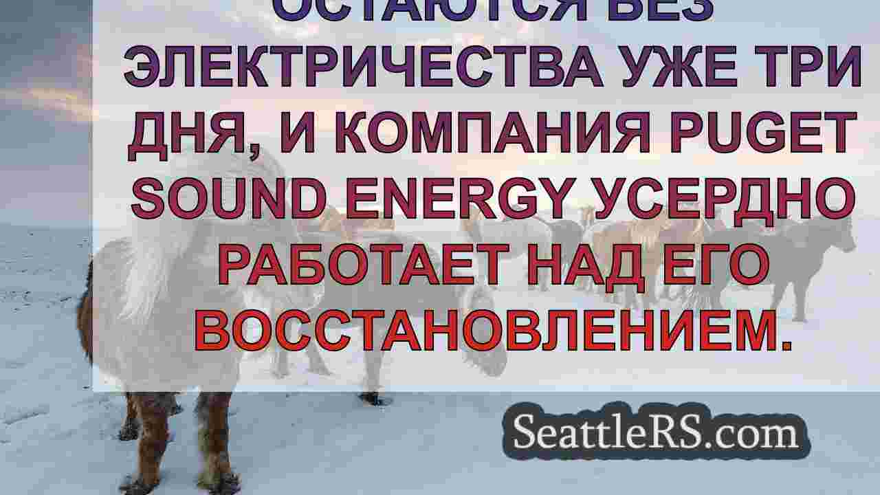 Новости Сиэтла SeattleRS