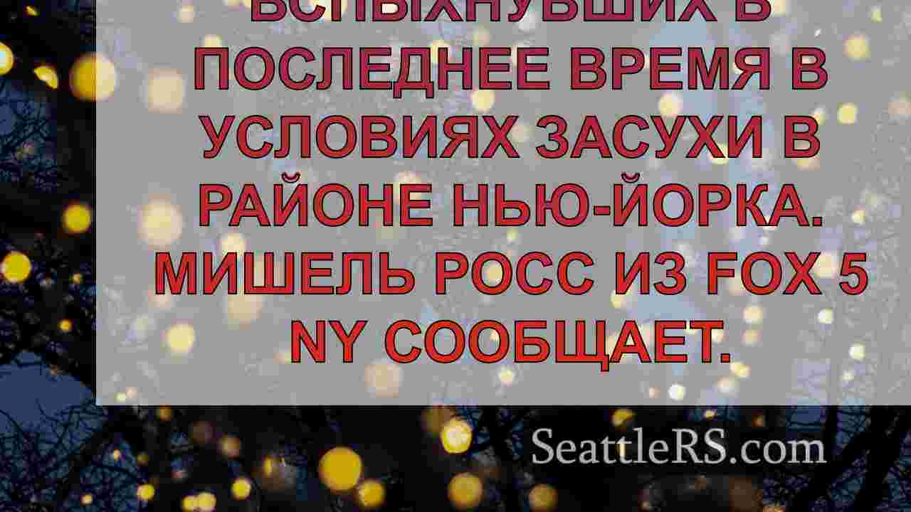 Новости Сиэтла SeattleRS