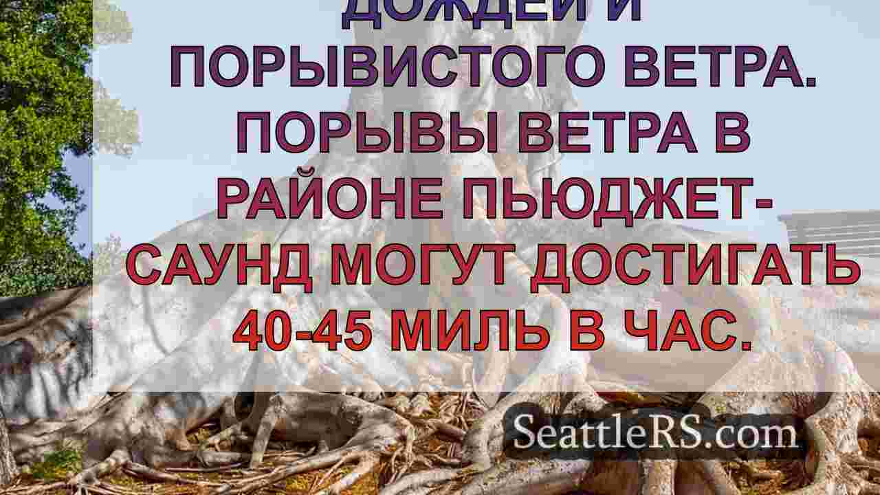 Сильный ветер, дождь в ночь на вторник
