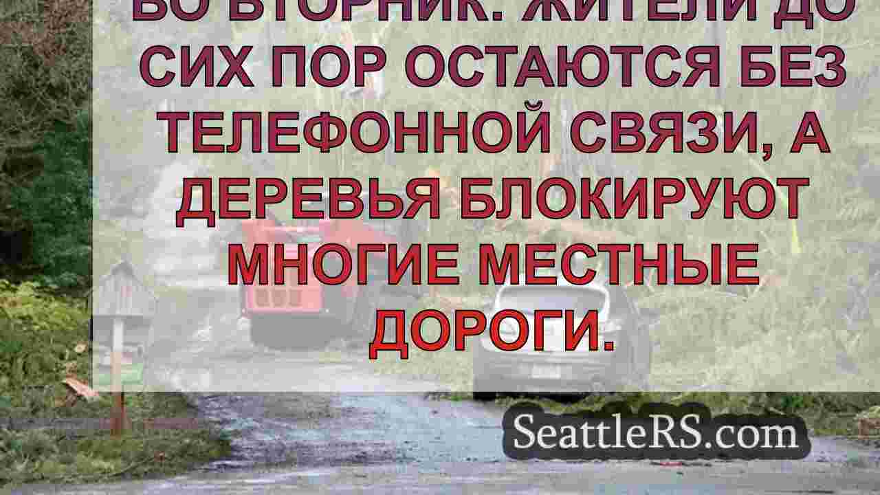 'Where's FEMA?': Жители Миррормонта