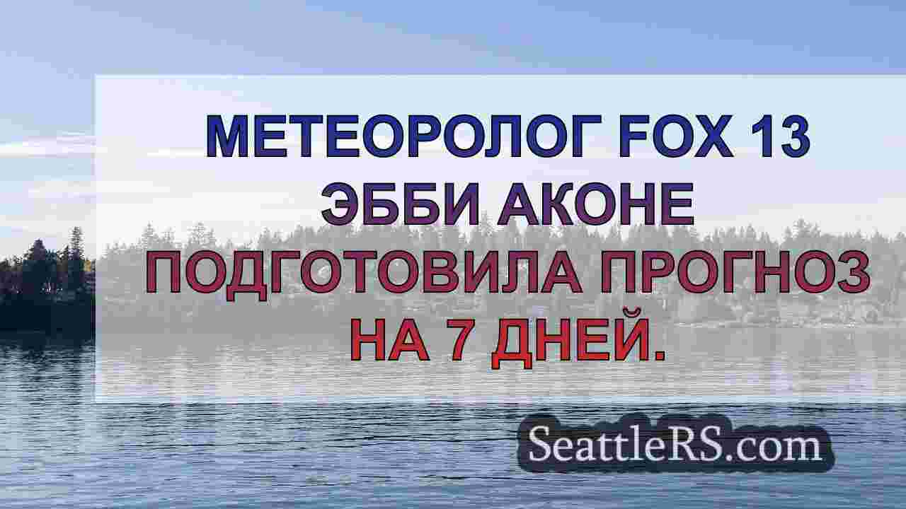 Парад погодных систем принесет влажную