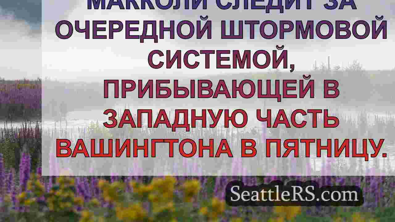 Погода в Сиэтле: Порывистый ветер