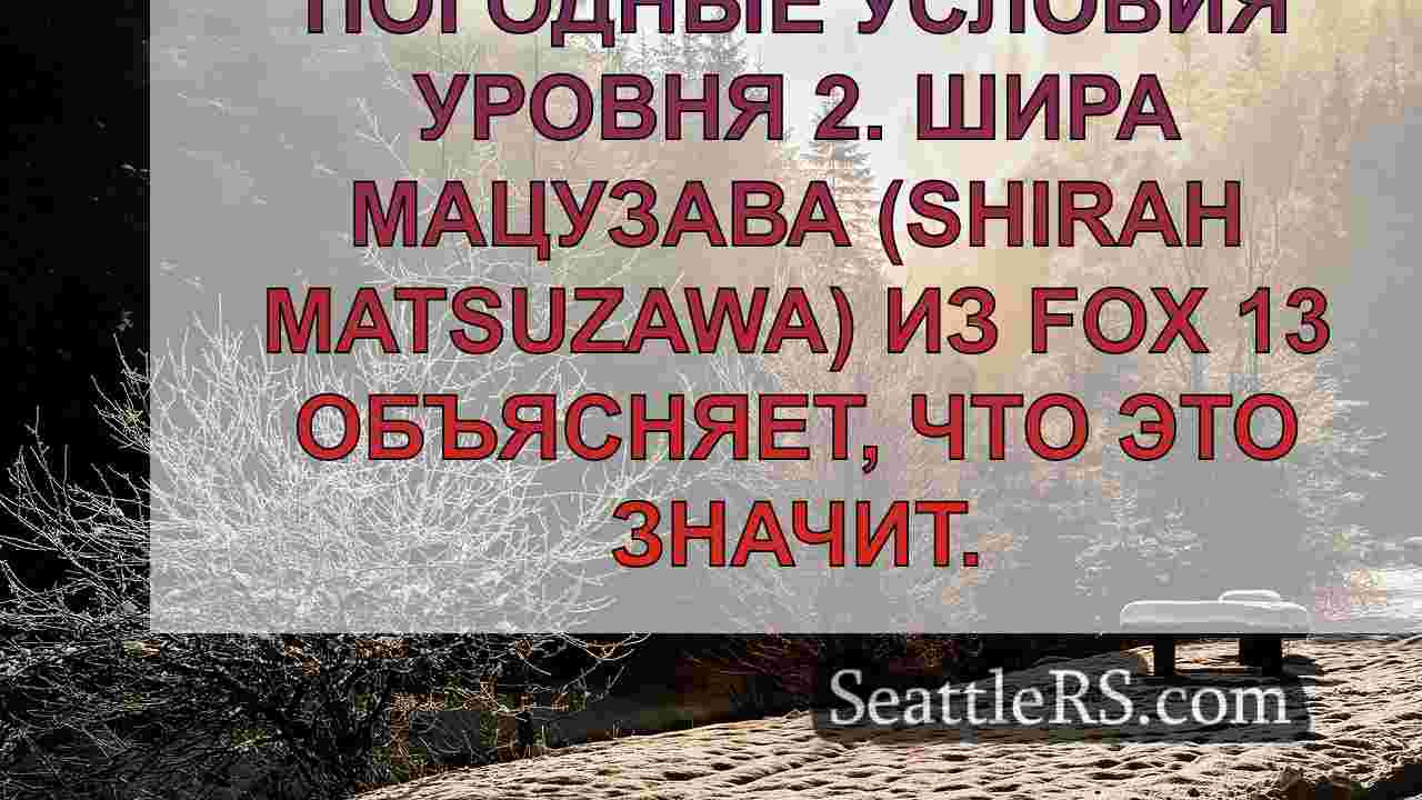 Округ Кинг вводит в действие протоколы