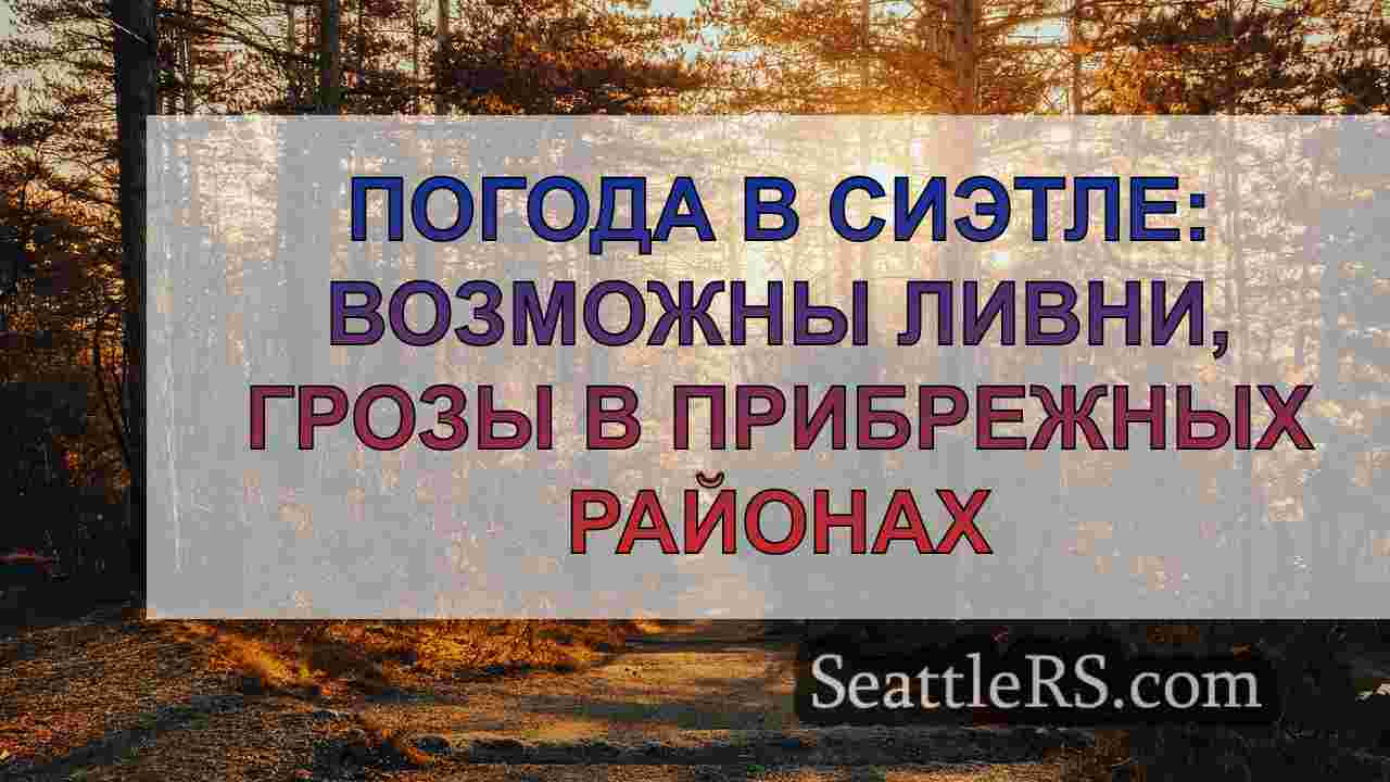 Прогноз облачной и сырой погоды в