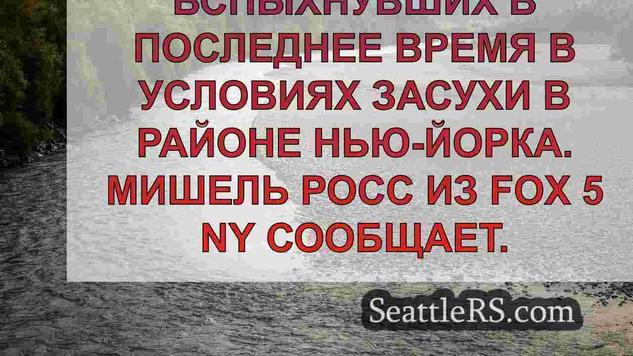 Новости Сиэтла SeattleRS