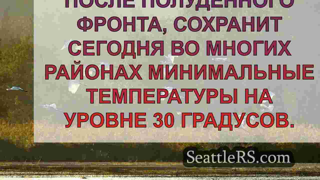 Погода в Сиэтле: Рассеянные ливни и