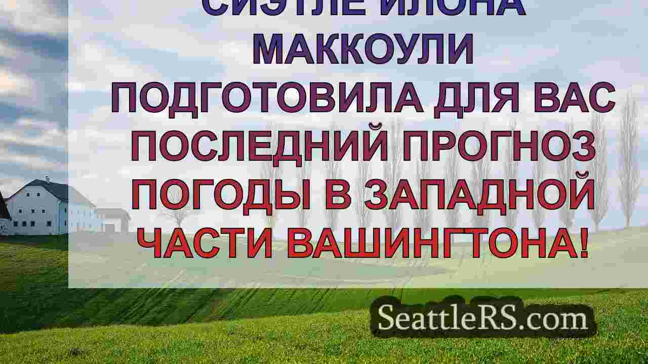 Погода в Сиэтле: Рассеянные дожди в