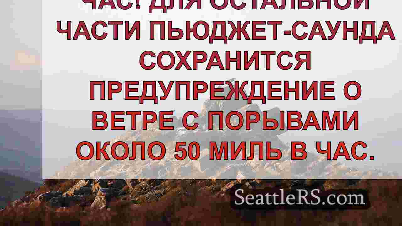 Порывы ураганного ветра зафиксированы