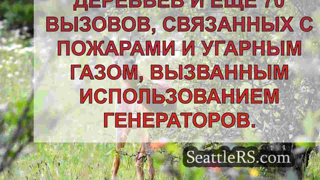 Новости Сиэтла SeattleRS