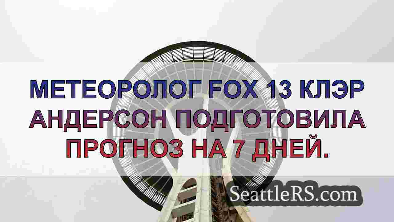 Прохладное, туманное начало рабочей