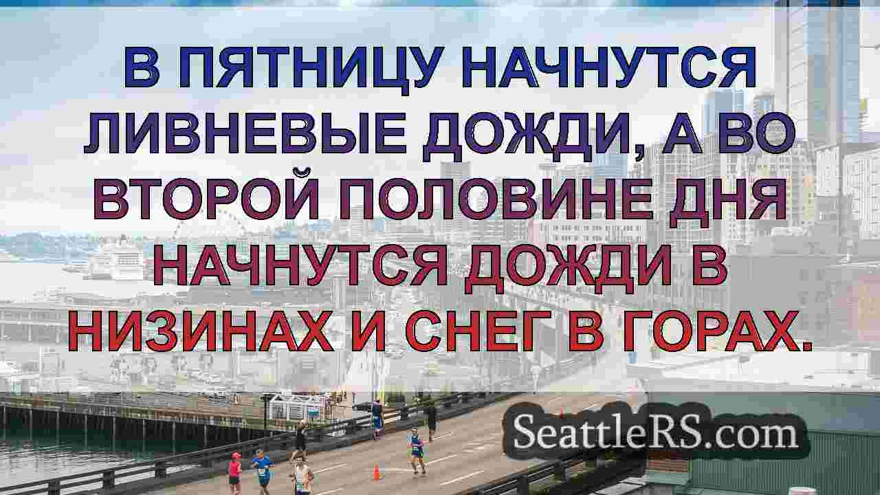 Погода в Сиэтле: Дождь и пронизывающий
