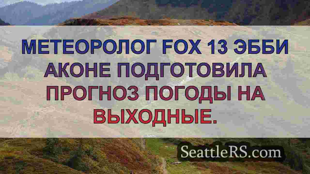 Серая, мокрая и ветреная погода на