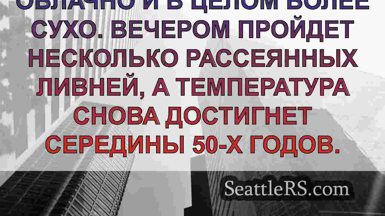 Дождливая и пасмурная погода ожидается