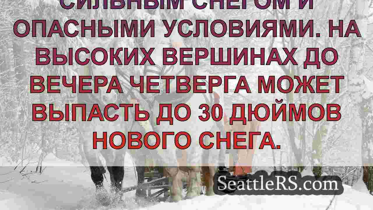 Новости Сиэтла SeattleRS