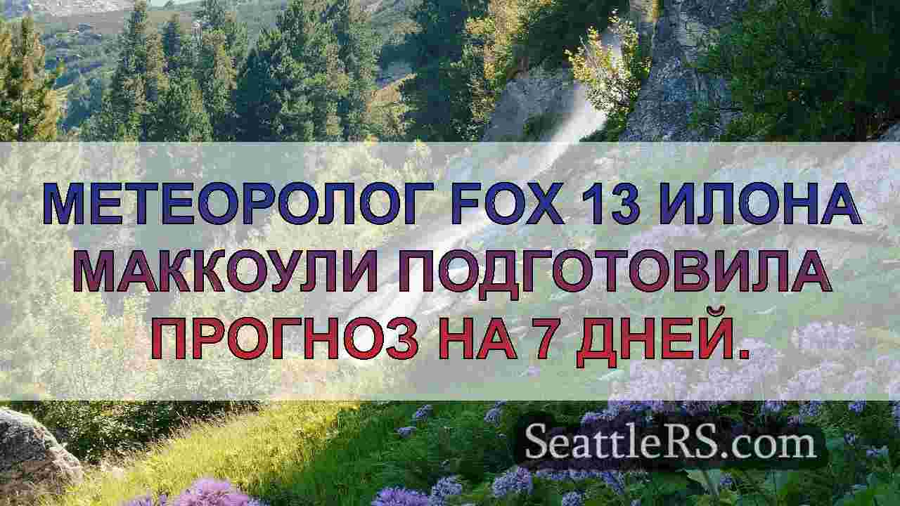 Погода в Сиэтле: Совет по густому