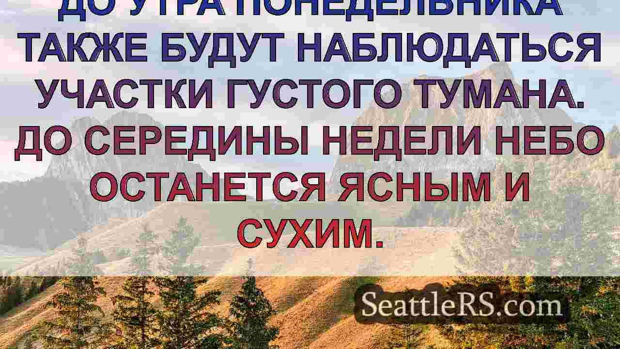 Погода в Сиэтле: Туманные, прохладные