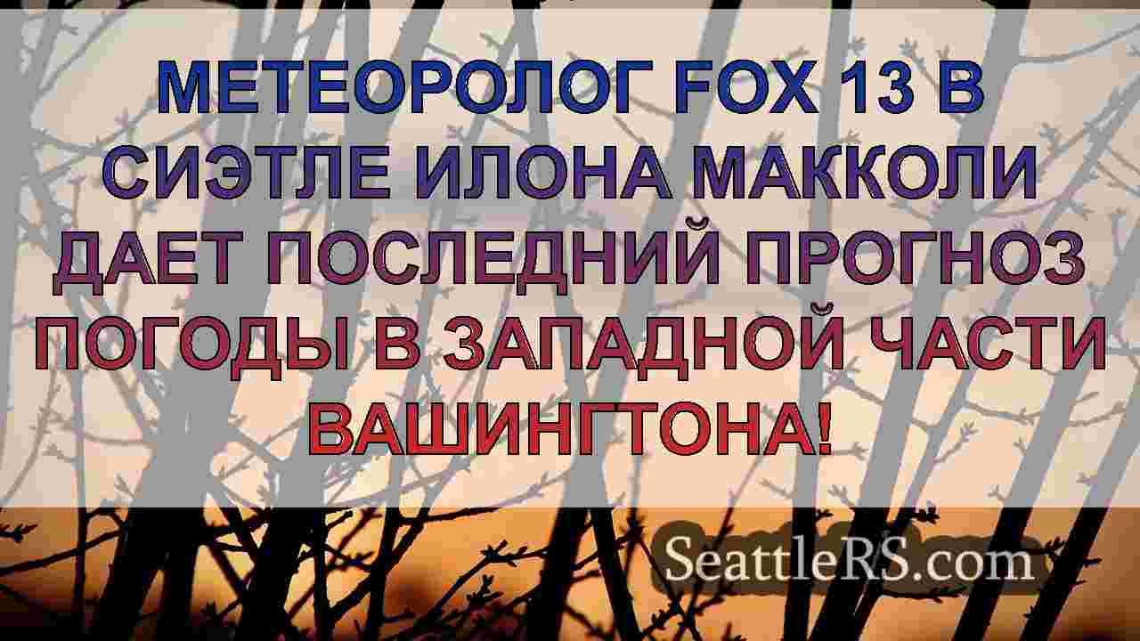 Погода в Сиэтле: Дождь и ветер