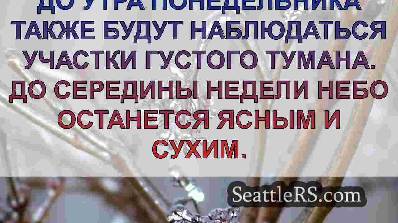 Новости Сиэтла SeattleRS