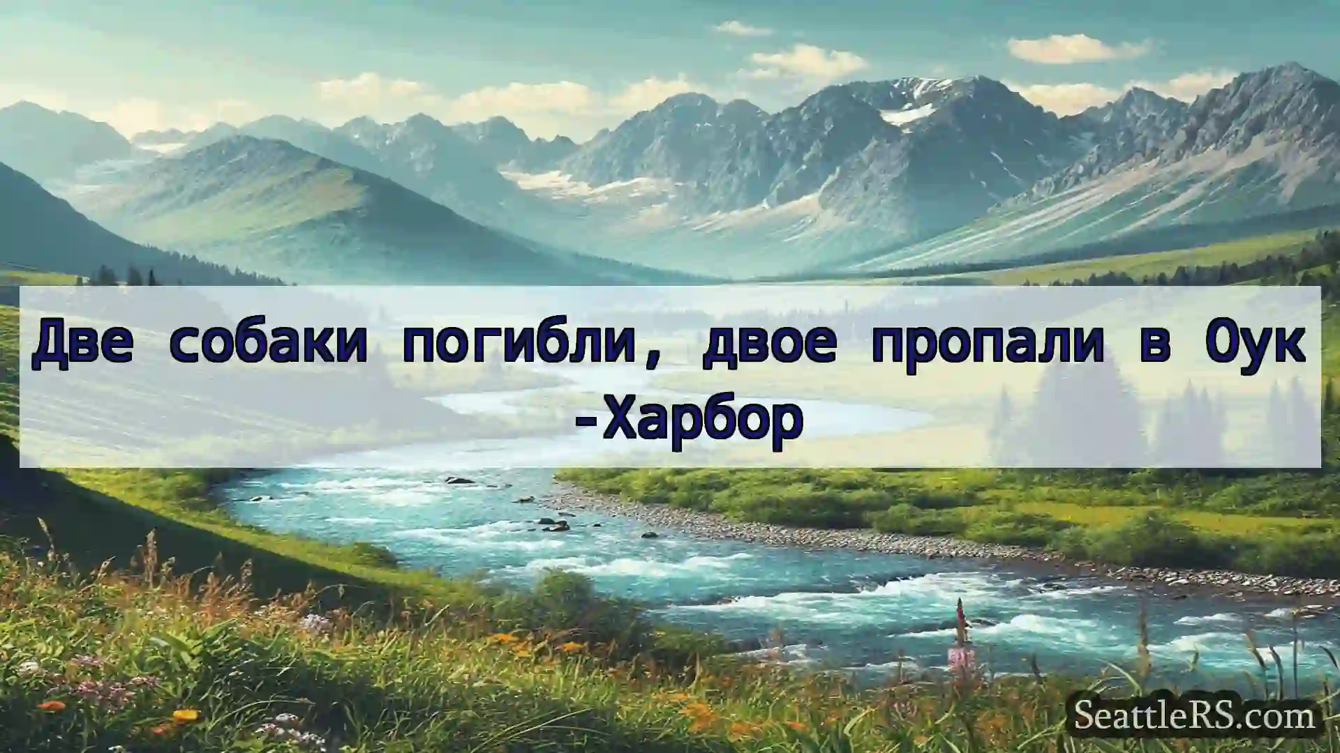 Сиэтл новости Две собаки погибли, двое пропали в