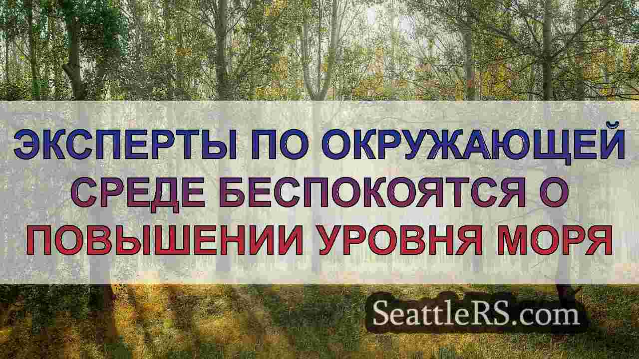 Эксперты по окружающей среде