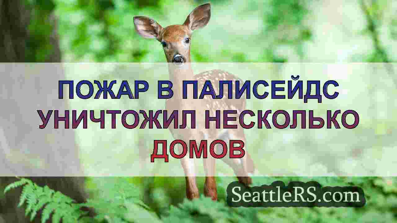 Новости Сиэтла SeattleRS
