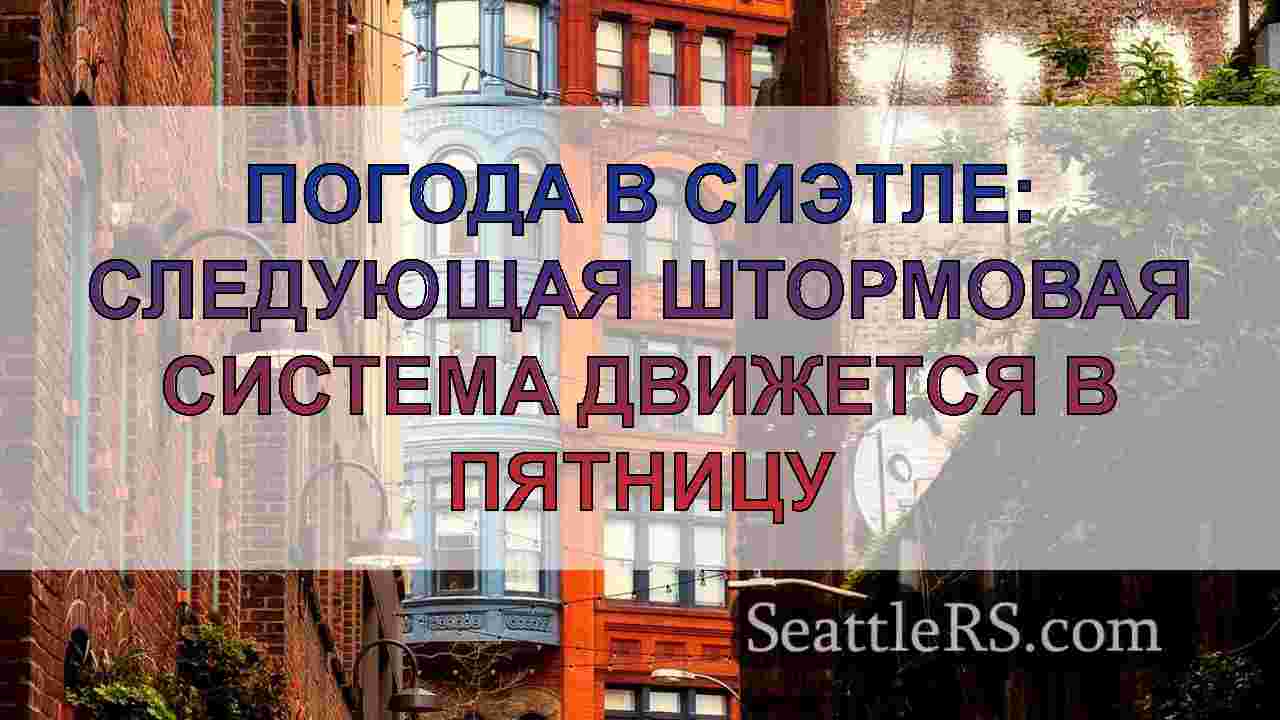 Погода в Сиэтле: Совет по зимней погоде