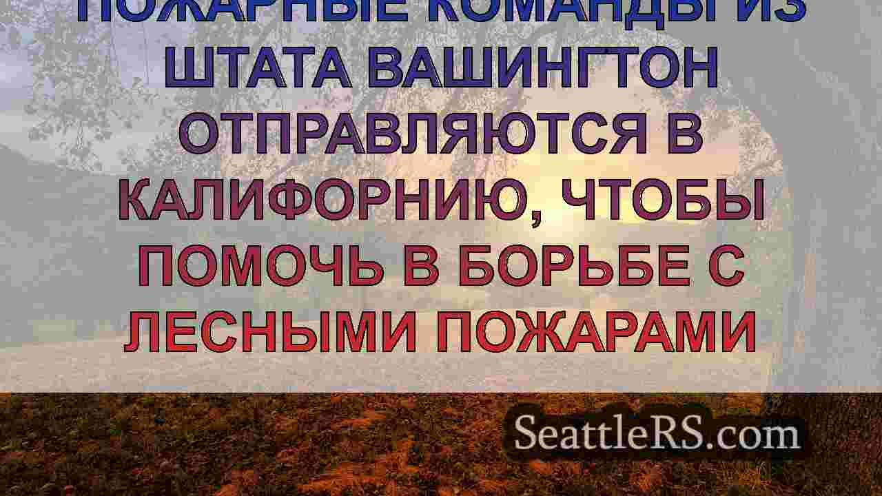 Пожарные из Западной Австралии