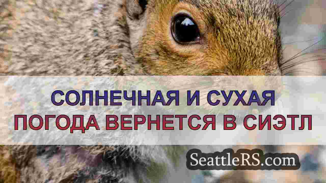 Новости Сиэтла SeattleRS