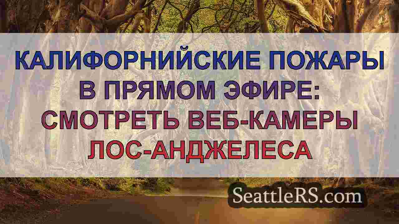 Калифорнийские пожары в прямом эфире:
