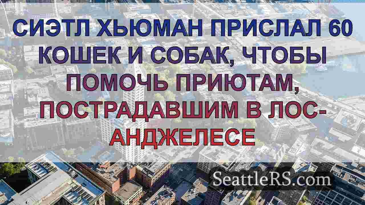 Сиэтл Хьюман прислал 60 кошек и собак