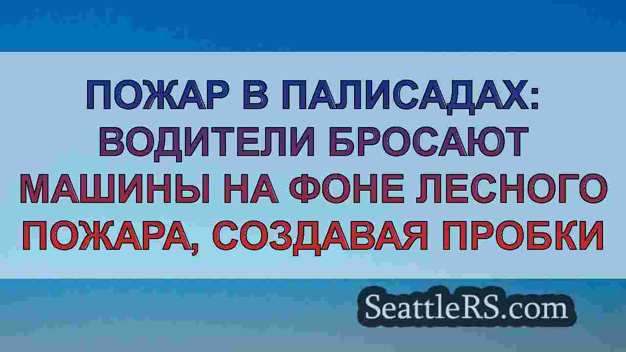 Последние новости о лесных пожарах в