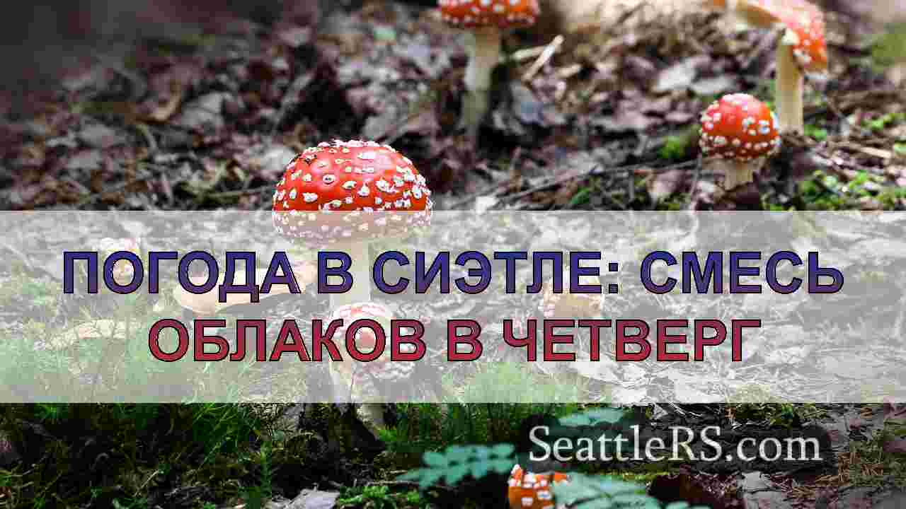 Новости Сиэтла SeattleRS