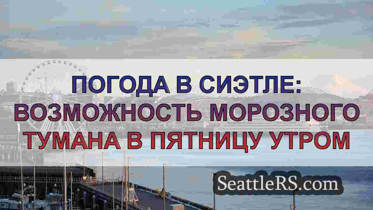 Морозная холодная погода на выходные в