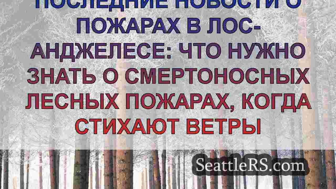 Последние новости о пожарах в