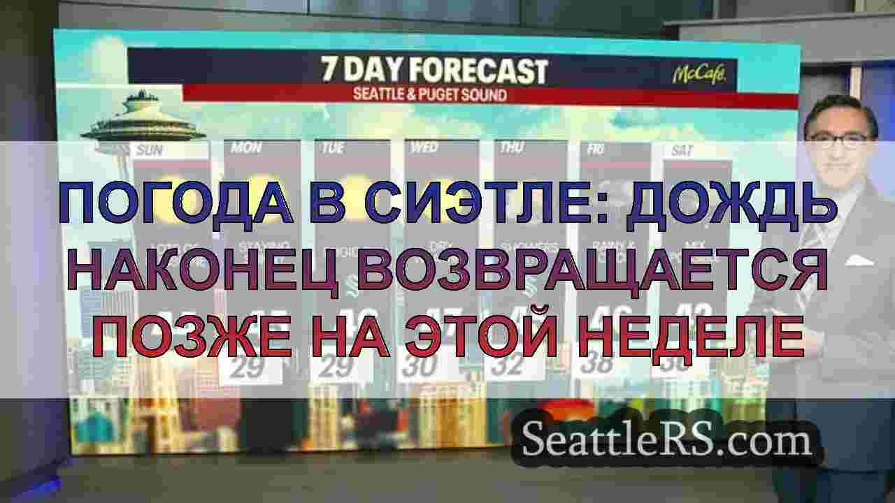 Погода в Сиэтле: дождь наконец