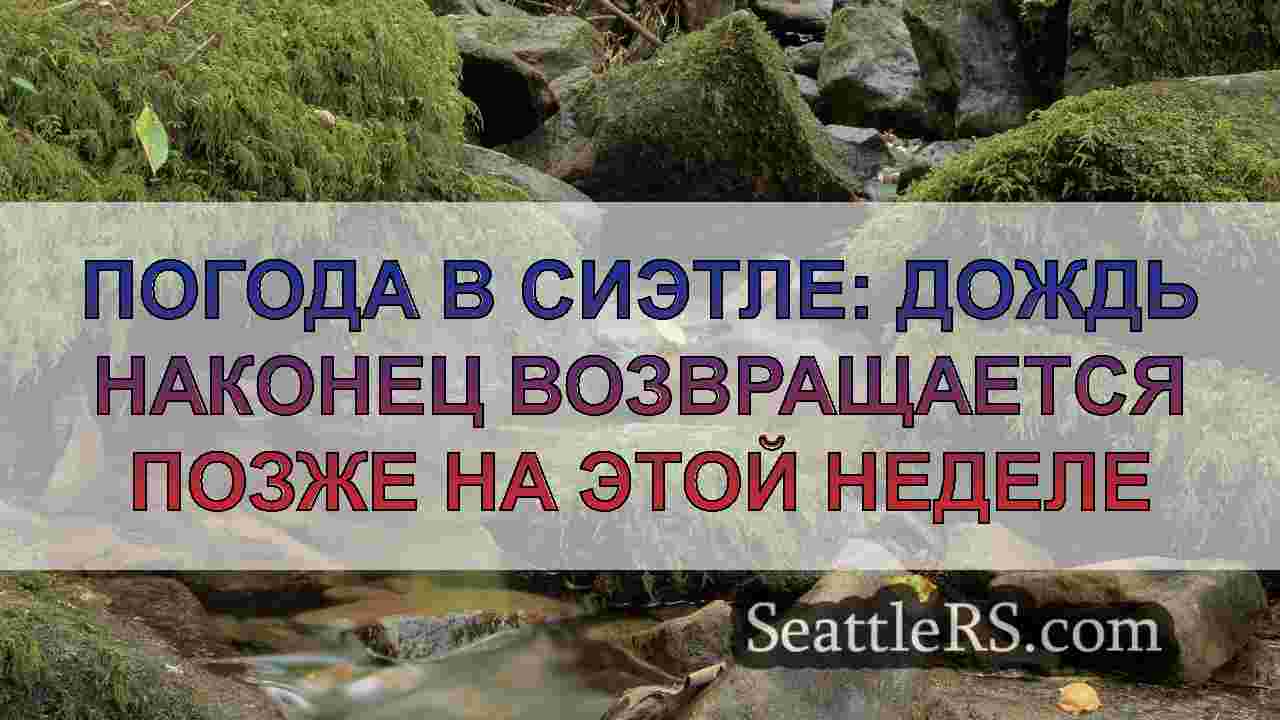 Новости Сиэтла SeattleRS