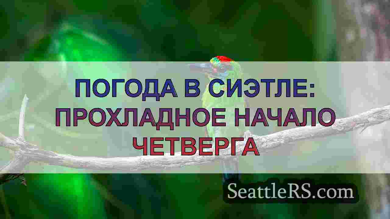 Новости Сиэтла SeattleRS