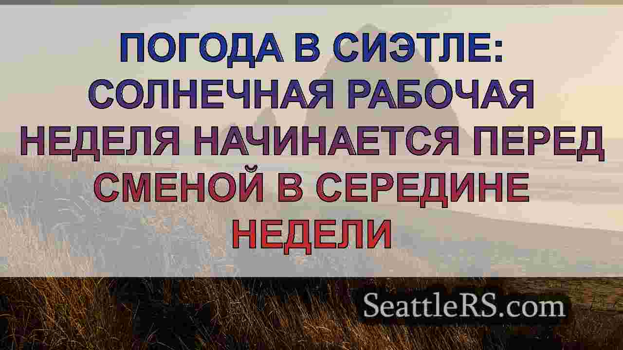 Новости Сиэтла SeattleRS