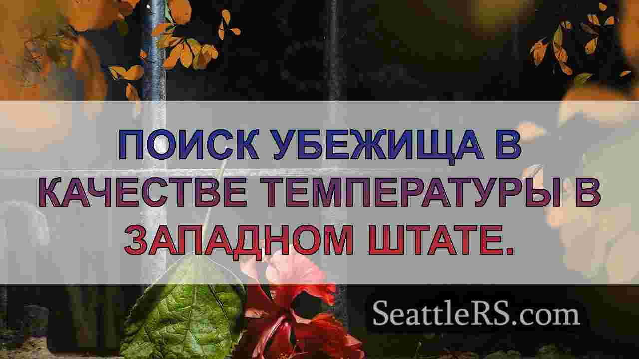Новости Сиэтла SeattleRS